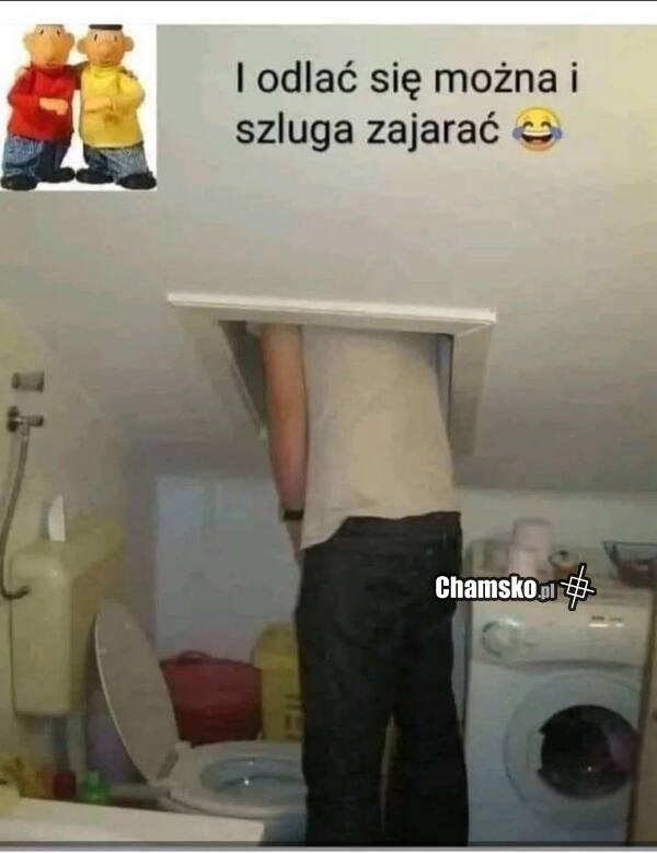 Idealny projekt