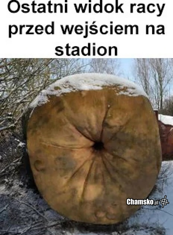 Wnoszenie rac