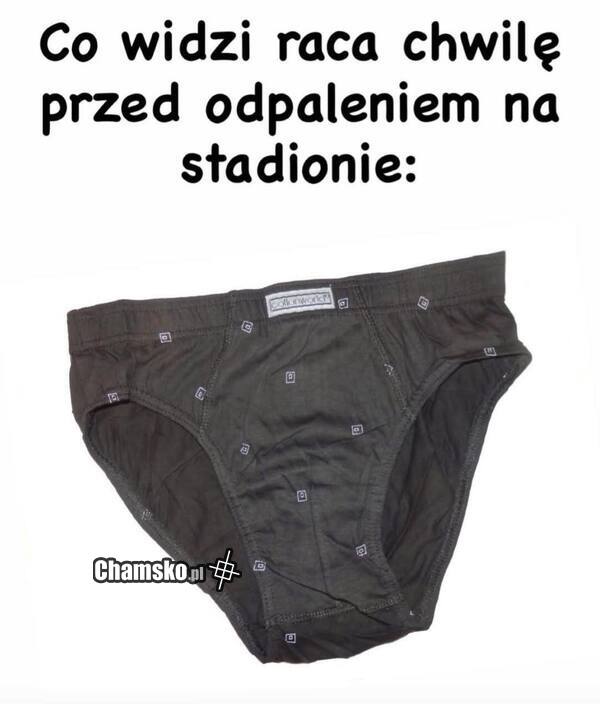 Co widzi raca
