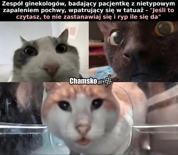 Badanie pacjentki