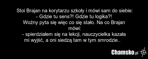 Stoi Brajan na korytarzu szkoły i mówi sam do siebie: - Gdzie tu sens?! Gdzie tu logika?! Woźny pyta się więc co się stało. Na co Brajan mówi: - spierdziałem się na lekcji, nauczycielka kazała mi wyjść, a oni siedzą tam w tym smrodzie..