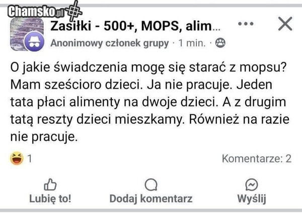 PiS pomóż