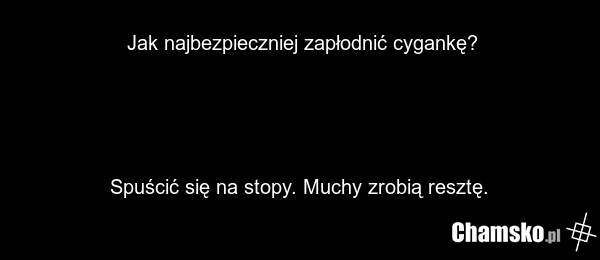 Jak najbezpieczniej zapłodnić cygankę? Spuścić się na stopy. Muchy zrobią resztę.