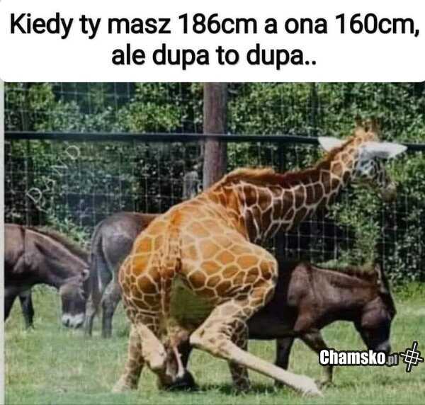 Gdy masz niższą koleżankę (albo kolege)