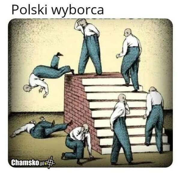 wyborca