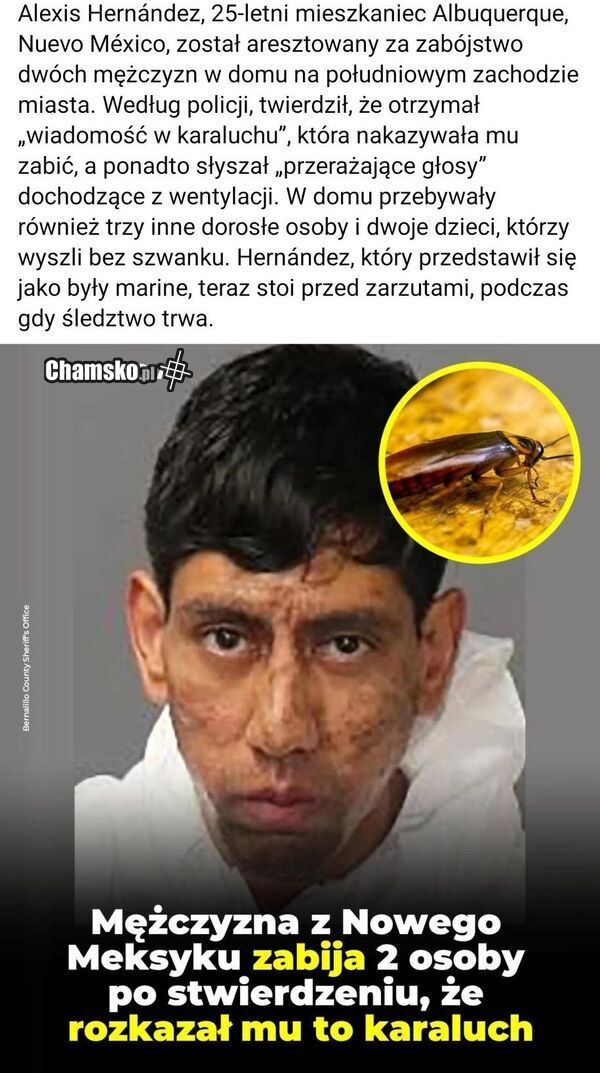 Ciekawy powód zabójstwa