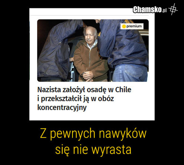 Jakie masz pan hoby?