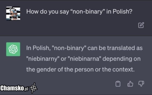 niebinarny lub niebinarna
