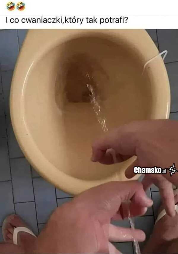 Kto tak potrafi?