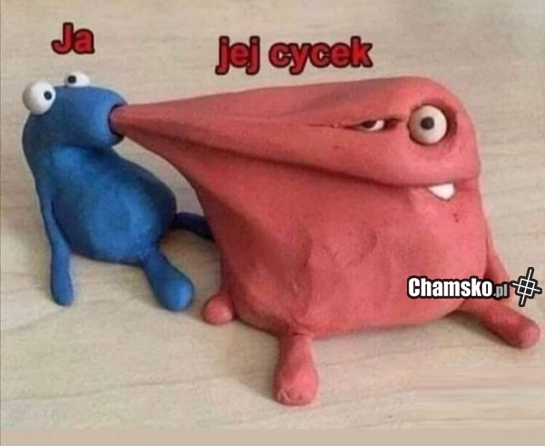Cycek