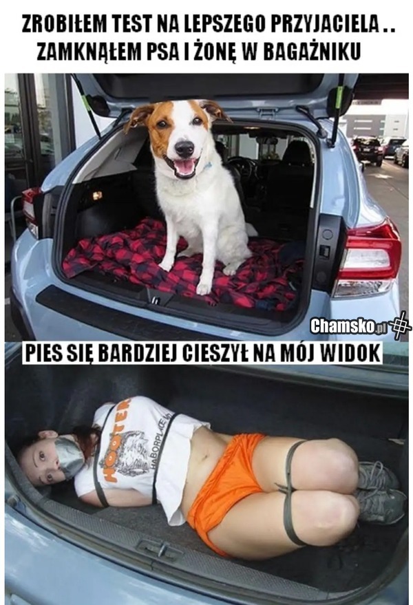 Przyjacielski test