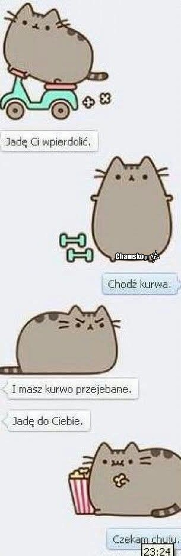 Pusheen na fejsie