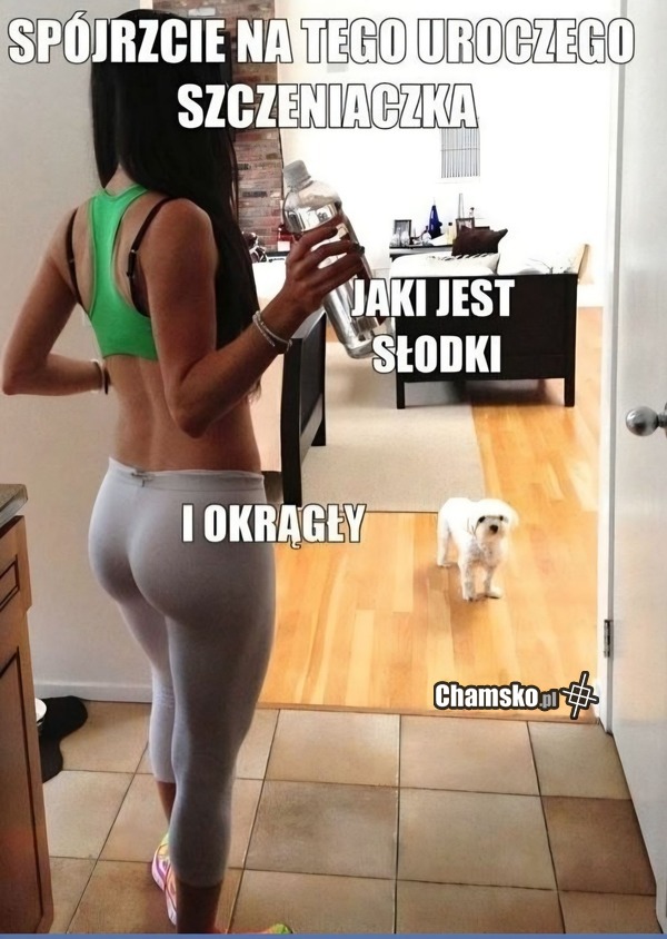Słodki piesek