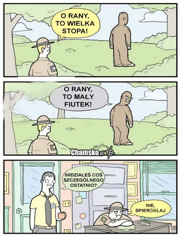 Wielka stopa