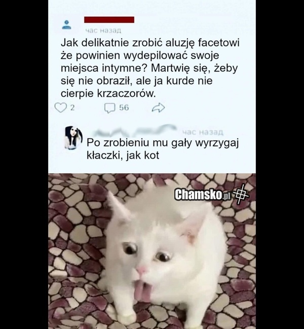 Delikatna aluzja