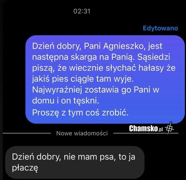 Głośny pies
