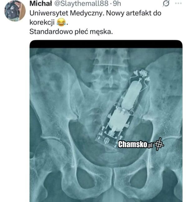 Ale co to jest?