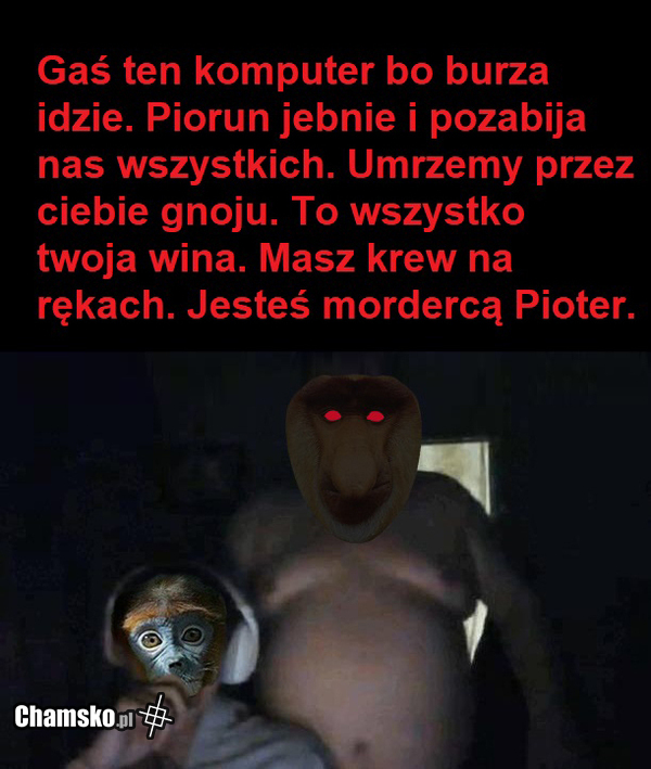 Pioruny