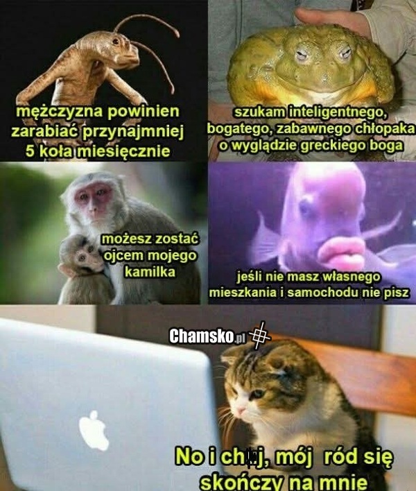 Kosmiczne wymagania
