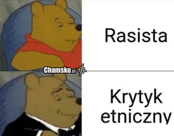 Krytyk