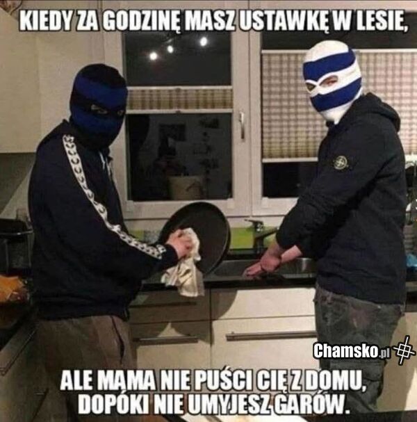 Ustawka