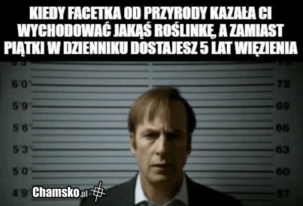 Hodowla roślinek