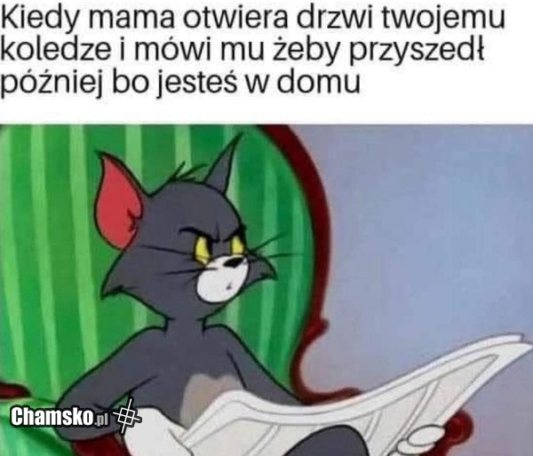 Odwiedziny kolegi