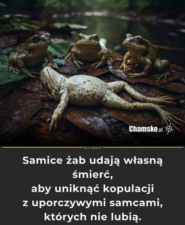 Dobry sposób