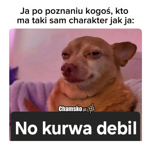 Ktoś taki jak Ty
