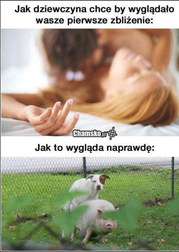 Pierwszy raz