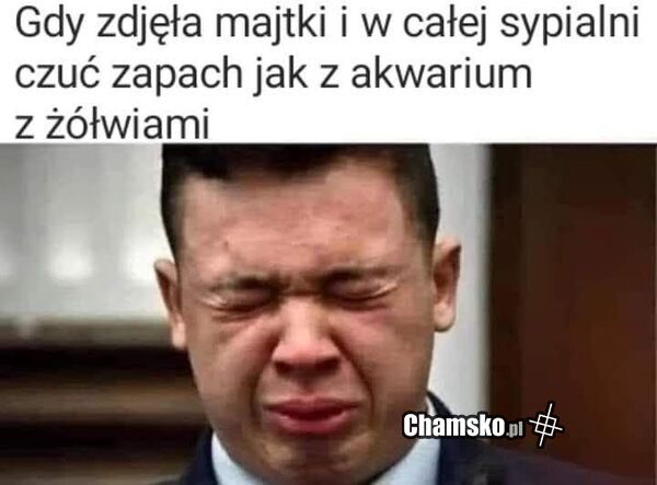 Zapach