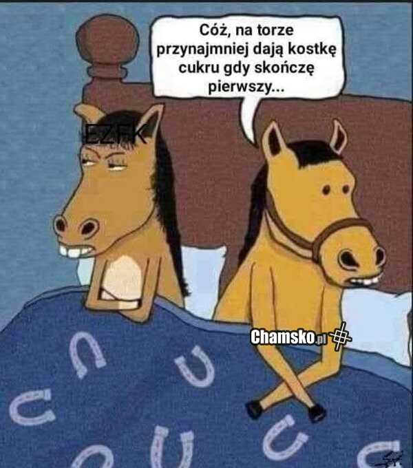 Wygrany wyścig