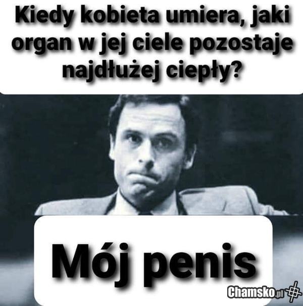 Pytanie