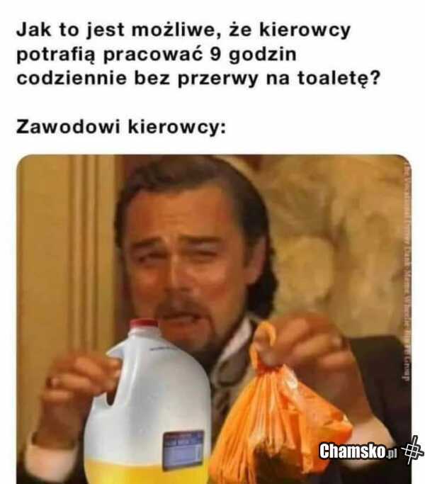 Zawodowi kierowcy