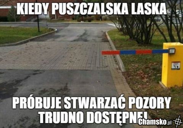 Puszczalskie laski