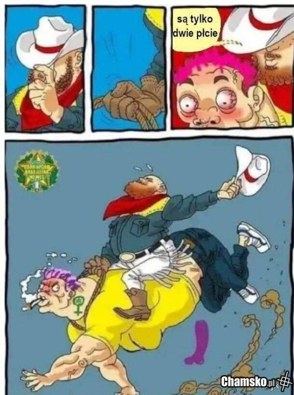 Rodeo