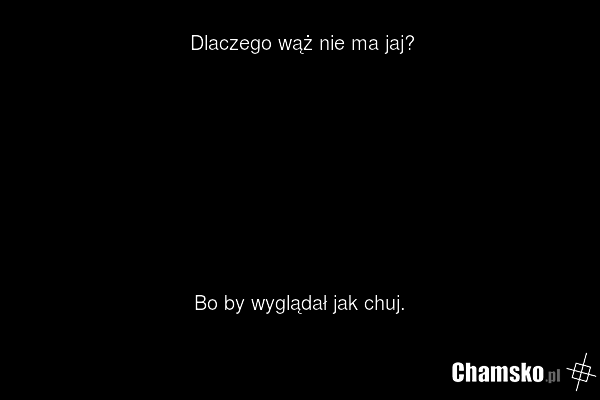 Wąż