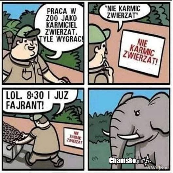 Dostałem pracę marzeń.