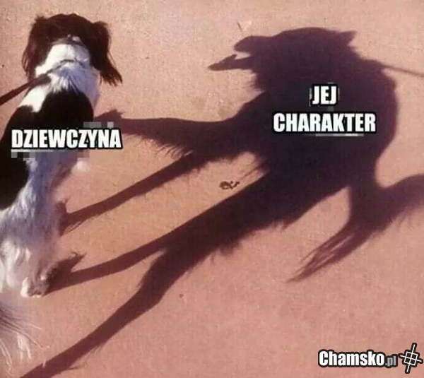 Charakter