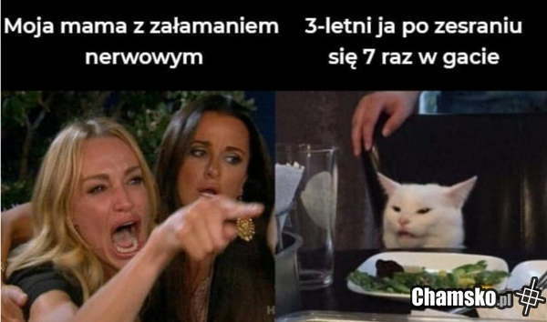 Załamanie nerwowe