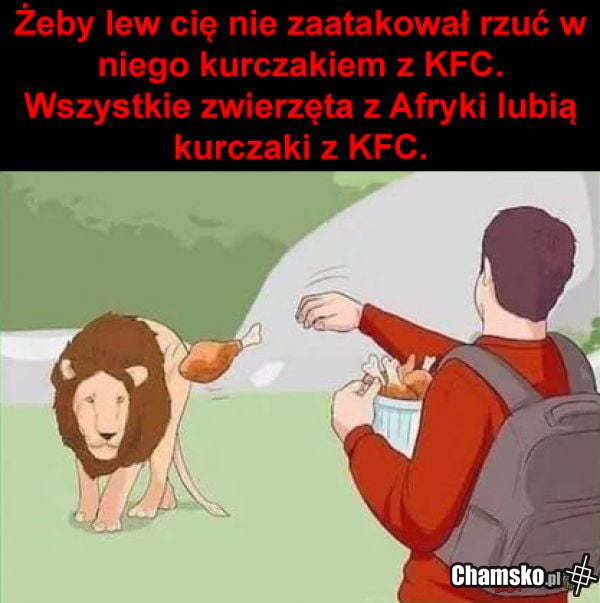 Kurczaki