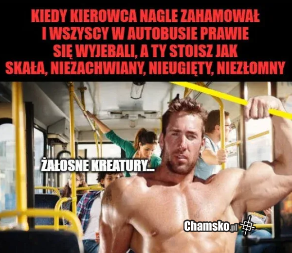 W autobusie