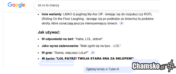 podpowiedzi google.pl