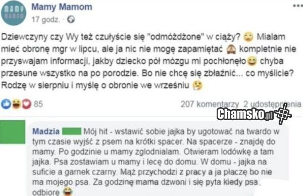 Odmóżdżone madki