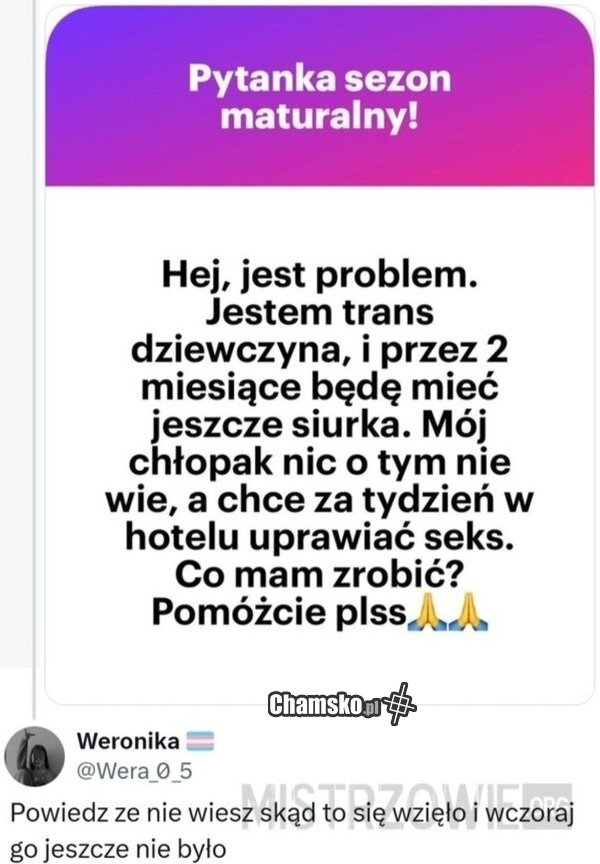 Pytanko