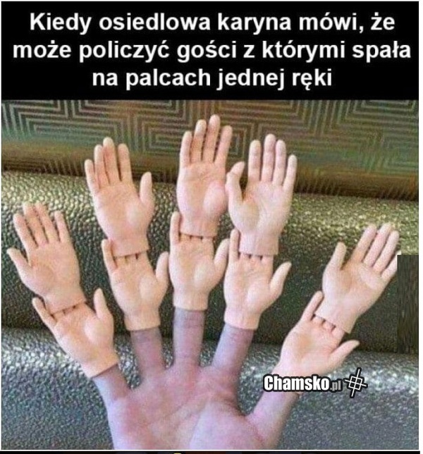 Liczba partnerów