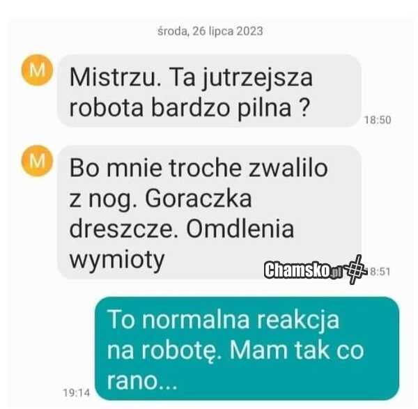 Reakcja na robotę
