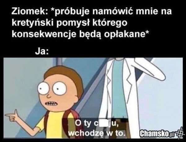 Powalony pomysł