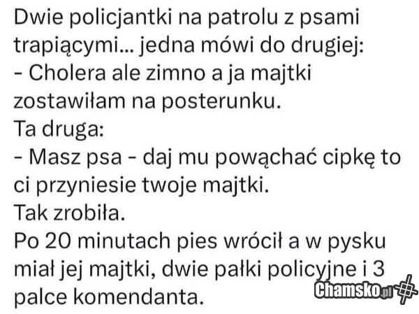 Zaginione majtki