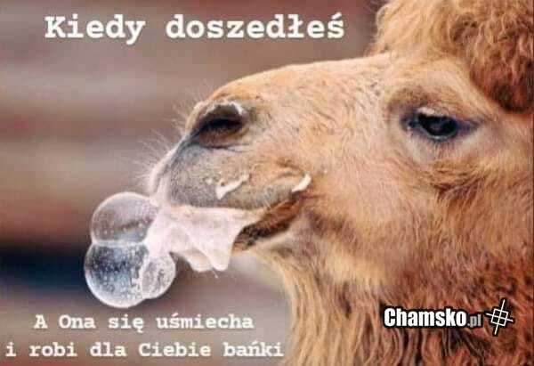 Po lodzie